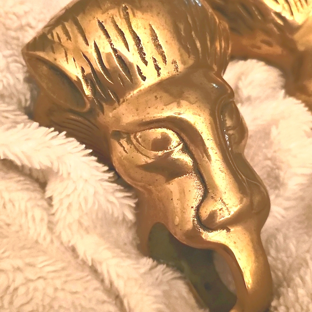 Brass Lion Head For Foot Rails